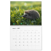 Calendrier 2026 Hedgehog Wall Calendar | 12 Month (Mar 2027)