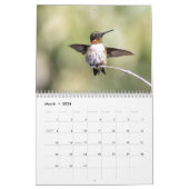 Calendrier 2026 Hummingbird Photography: A Year of Wings (Mar 2026)