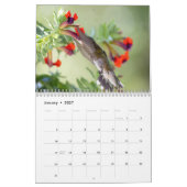 Calendrier 2026 Hummingbird Photography: A Year of Wings (Jan 2027)