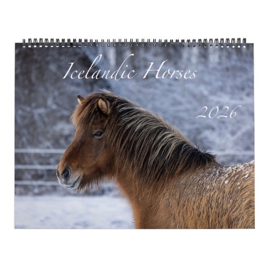 Calendrier 2026 Icelandic Horse Calendar (Protection)