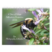 Calendrier 2026 La Perspective des pollinisateurs : Une année (Protection)