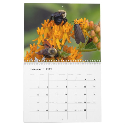 Calendrier 2026 La Perspective des pollinisateurs : Une année (Dec 2027)