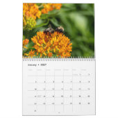 Calendrier 2026 La Perspective des pollinisateurs : Une année (Jan 2027)