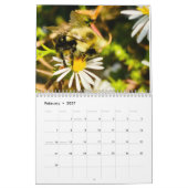 Calendrier 2026 La Perspective des pollinisateurs : Une année (Feb 2027)