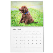 Calendrier 2026 Labrador Retriever Dog Owners Lovers Gift (Mar 2026)