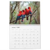 Calendrier 2026 « Les oiseaux de même plumage vole (Jan 2027)