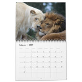 Calendrier 2026 Lions sauvages (Feb 2027)