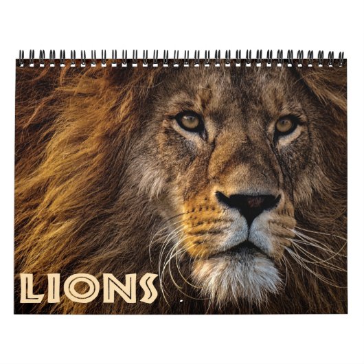 Calendrier 2026 Lions sauvages (Protection)