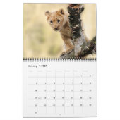 Calendrier 2026 Lions sauvages (Jan 2027)