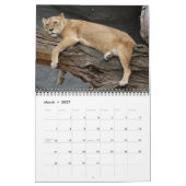 Calendrier 2026 Lions sauvages (Mar 2027)