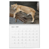 Calendrier 2026 Lions Sauvages (Mar 2027)