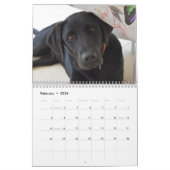Calendrier 2026 Lovable Labrador Retriever Dog (Feb 2026)