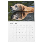 Calendrier 2026 Lovable Labrador Retriever Dog (Jan 2026)