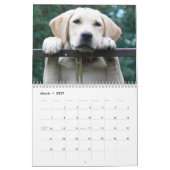 Calendrier 2026 Lovable Labrador Retriever Dog (Mar 2027)