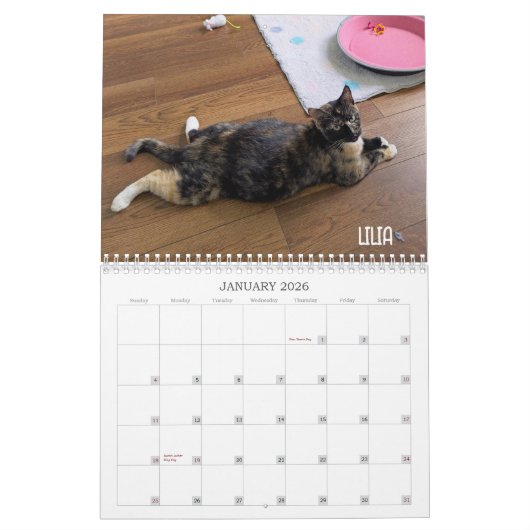 Calendrier 2026 Love & Hisses Calendar - Alphabet Soup Gang (Jan 2026)