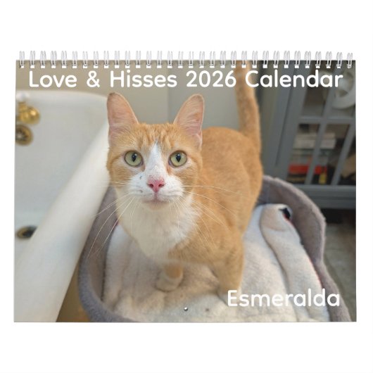 Calendrier 2026 Love & Hisses Calendar - Esmeralda (Protection)
