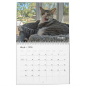 Calendrier 2026 Love & Hisses Calendar - Permanent Residents (Mar 2026)