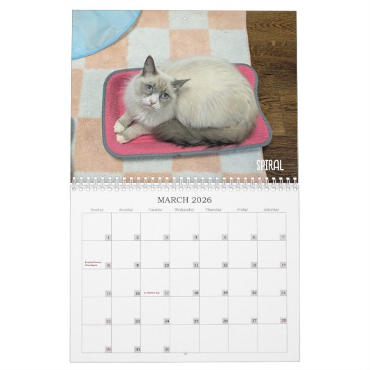 Calendrier 2026 Love & Hisses Calendar - the Foundlings (Mar 2026)
