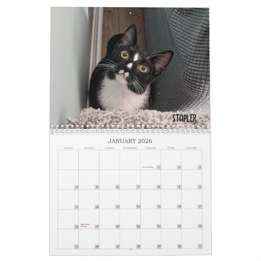 Calendrier 2026 Love & Hisses Calendar - the Foundlings (Jan 2026)