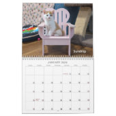 Calendrier 2026 Love & Hisses Calendar - the pink Adirondack (Jan 2026)