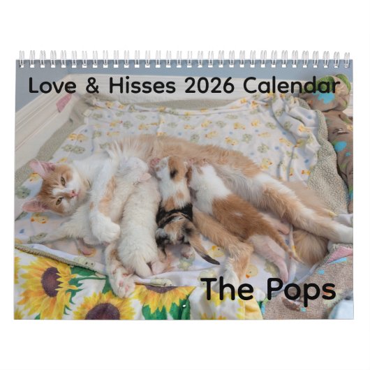 Calendrier 2026 Love & Hisses Calendar - the Pops (Protection)