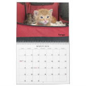 Calendrier 2026 Love & Hisses Calendar - The Tiny Dancers (Mar 2026)