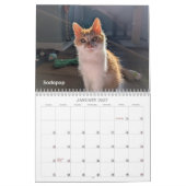 Calendrier 2026 Love & Hisses - les Pops (Jan 2027)