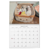 Calendrier 2026 Love & Hisses - les Pops (Mar 2027)