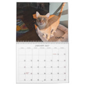 Calendrier 2026 Love & Hisses - Les Tiny Dancers (Jan 2027)