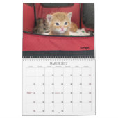 Calendrier 2026 Love & Hisses - Les Tiny Dancers (Mar 2027)