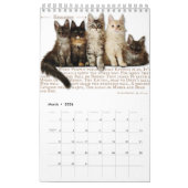 Calendrier 2026 Maine Coon Cat Calendar (Mar 2026)