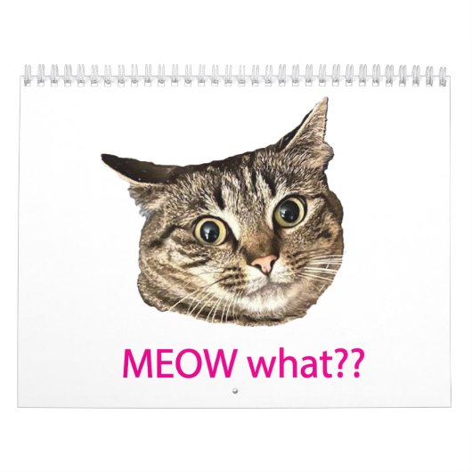 Calendrier 2026 MEOW what?? Calendar (Protection)