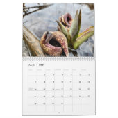 Calendrier 2026 (Mostly) Nature Calendar (Mar 2027)