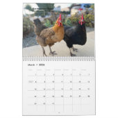 Calendrier 2026 Neighborhood Chicken Calendar (Mar 2026)
