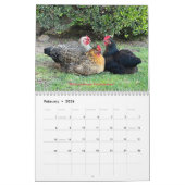 Calendrier 2026 Neighborhood Chicken Calendar (Feb 2026)