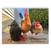 Calendrier 2026 Neighborhood Chicken Calendar (Protection)