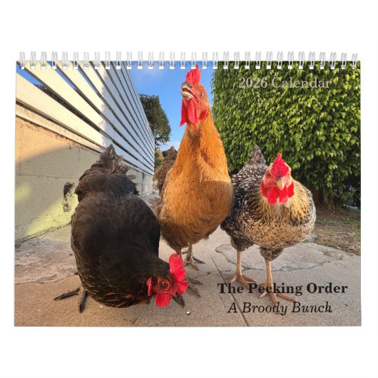 Calendrier 2026 Neighborhood Chicken Calendar (Protection)