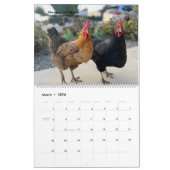 Calendrier 2026 Neighborhood Chicken Calendar - Large (Mar 2026)