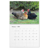 Calendrier 2026 Neighborhood Chicken Calendar - Large (Feb 2026)