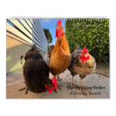 Calendrier 2026 Neighborhood Chicken Calendar - Large (Protection)