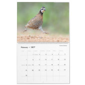 Calendrier 2026 - Oiseaux de la vallée inférieure (Feb 2027)