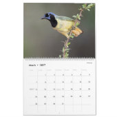 Calendrier 2026 - Oiseaux de la vallée inférieure (Mar 2027)