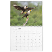 Calendrier 2026 - Oiseaux de la vallée inférieure (Jan 2027)