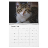 Calendrier 2026 Personalized Cat Photos Create Your Own (Jan 2026)