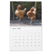 Calendrier 2026 - Portraits chaotiques de poulet (Jan 2026)