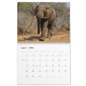 Calendrier 2026 pour les animaux et les oiseaux af (Mar 2026)