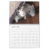 Calendrier 2026 pour rats de compagnie (Jan 2027)