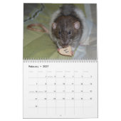 Calendrier 2026 pour rats de compagnie (Feb 2027)