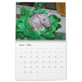 Calendrier 2026 RATS of the Rodent Reader Calendar B (Mar 2026)