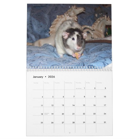 Calendrier 2026 RATS of the Rodent Reader Calendar B (Jan 2026)